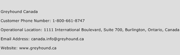 Greyhound Canada Phone Number Customer Service