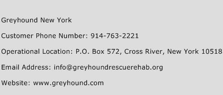 Greyhound New York Phone Number Customer Service