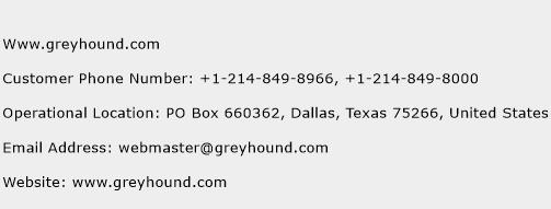 Www.greyhound.com Phone Number Customer Service
